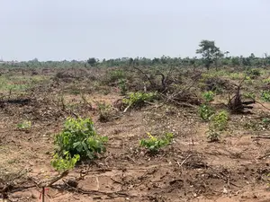 150plots at Umuapu for Sale