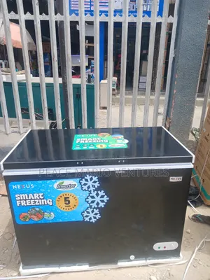 Nexus Quality Inverter 400ns 320litres With 2years Warranty and Glass