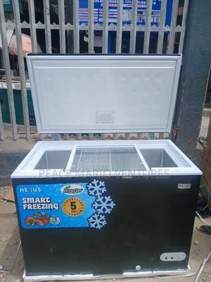Nexus Quality Inverter 400ns 320litres With 2years Warranty and Glass