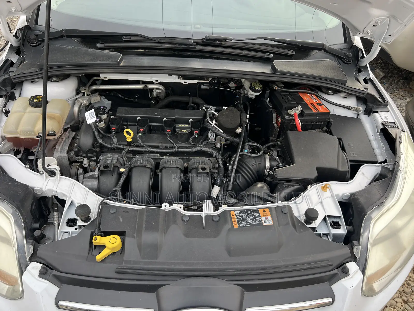 Ford Focus 2014 White