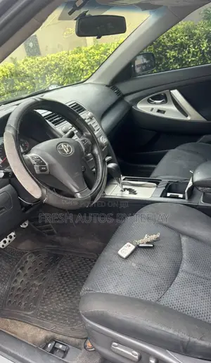 Toyota Camry 2010 Gray