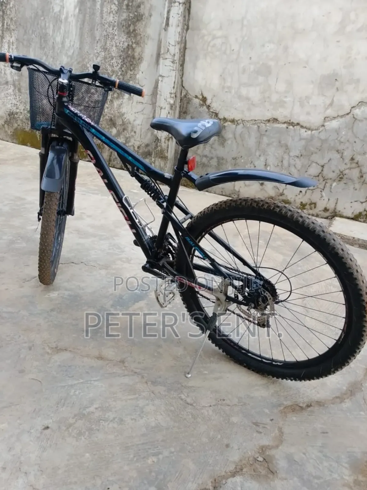 Semi Fat Tire Bicycle
