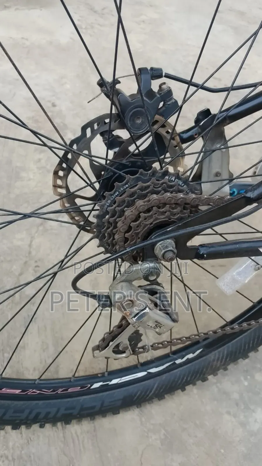 Semi Fat Tire Bicycle