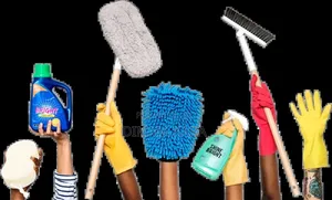Professional House Cleaner Available in Lagos