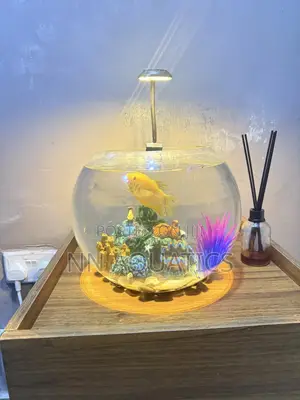 Aquarium Bowl