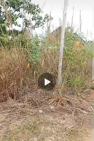Land for Sell