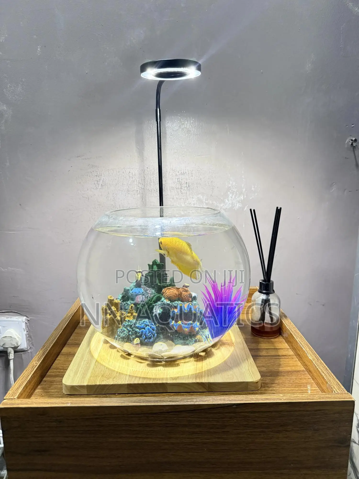 Table Top Aquarium With Light