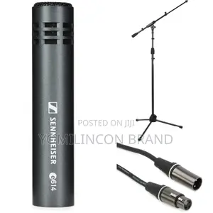 Sennheiser E 914 Small-Diaphragm Condenser Microphone