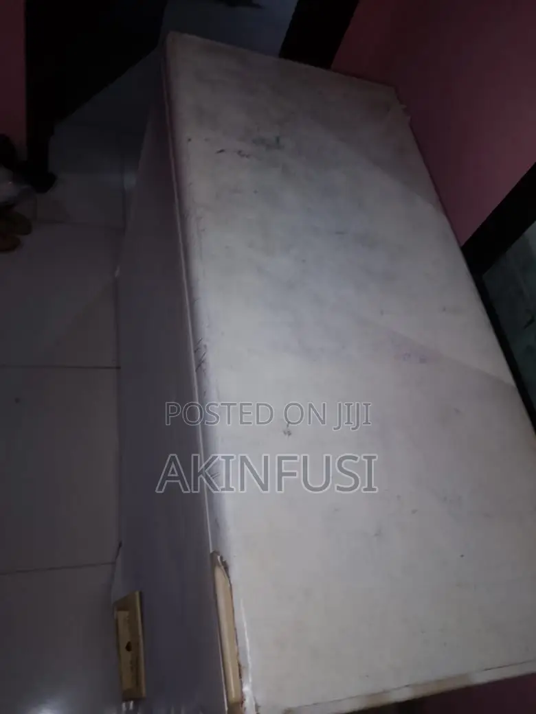 Ocean Group Brand Freezer