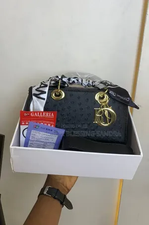 Ladies Hand Bag