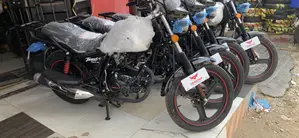 New Denstar Taurus 2026 Black