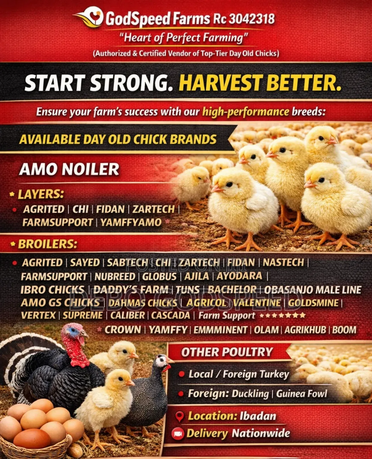We Buy and Sell Quality 6 Weeks Broilers