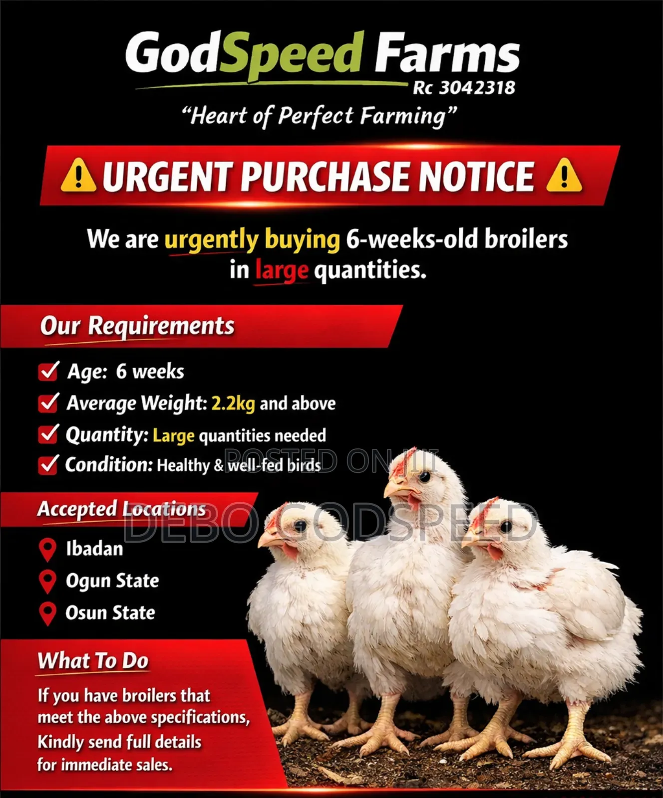 We Buy and Sell Quality 6 Weeks Broilers