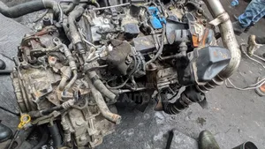 Ford Escape and Ford Edge Engine 2014