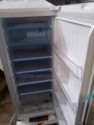 Standing Freezer 7 Step Lg Inverter With 10 Years Waty Made in Kore