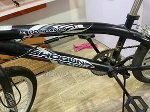Adult Sports Bicycle