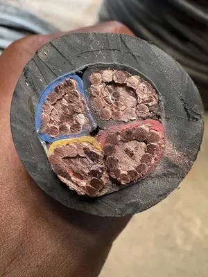 Coleman Electrical Cable 50mm by 4core PVC