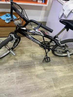 Adult Sports Bicycle