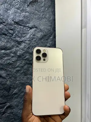 Apple iPhone 12 Pro Max 256 GB Silver