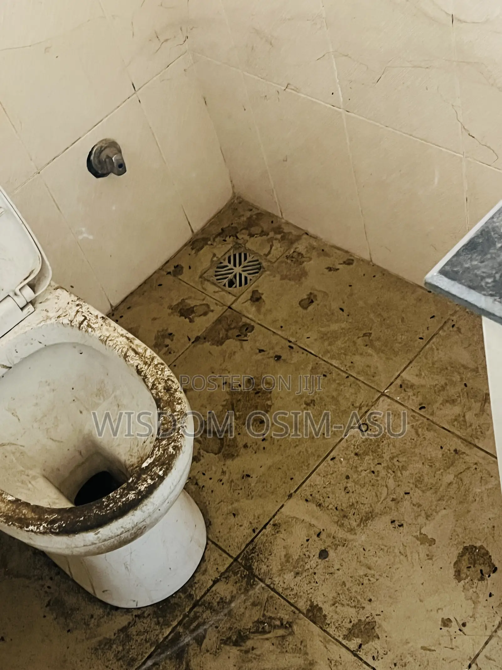 Cleaning Services