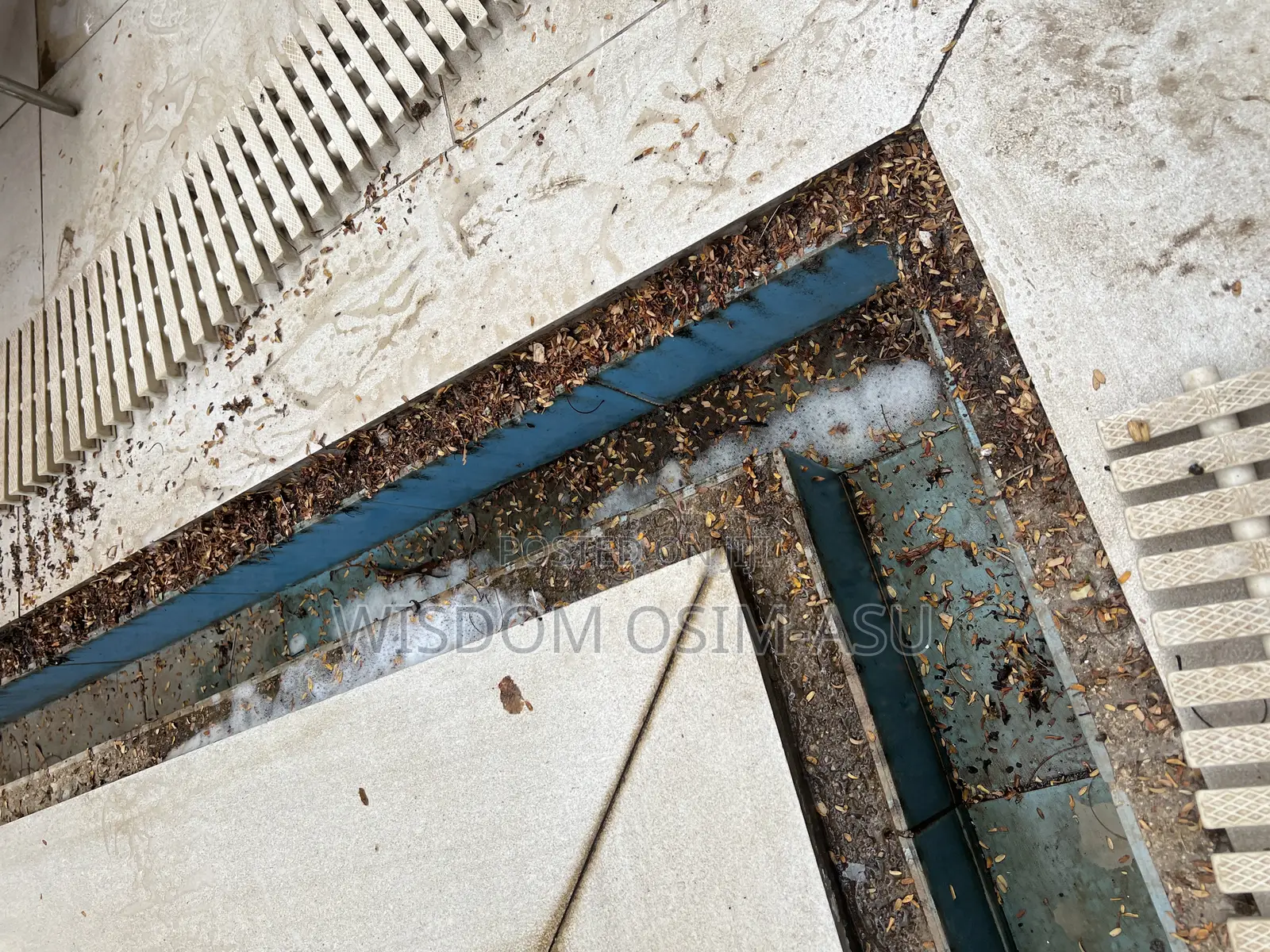Cleaning Services