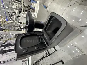 Executive Matte Black Toilet .