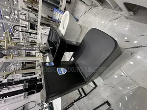Executive Matte Black Toilet .
