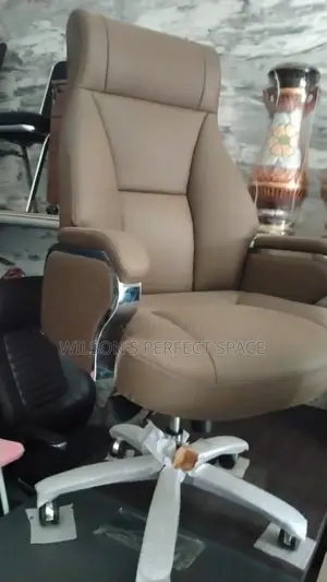 Imported Executive Office Chair
