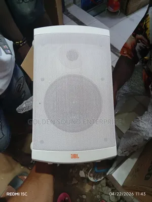 Professional JBL Outdoor Speaker