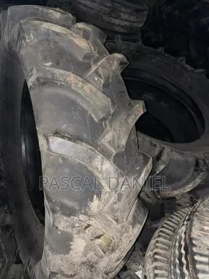 16.9 - 30 Blessway Tire
