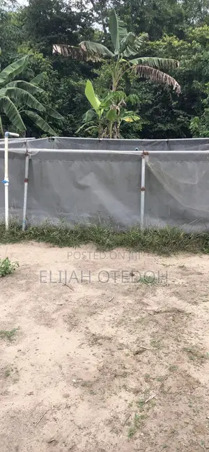 Tarpaulin Fish Pond
