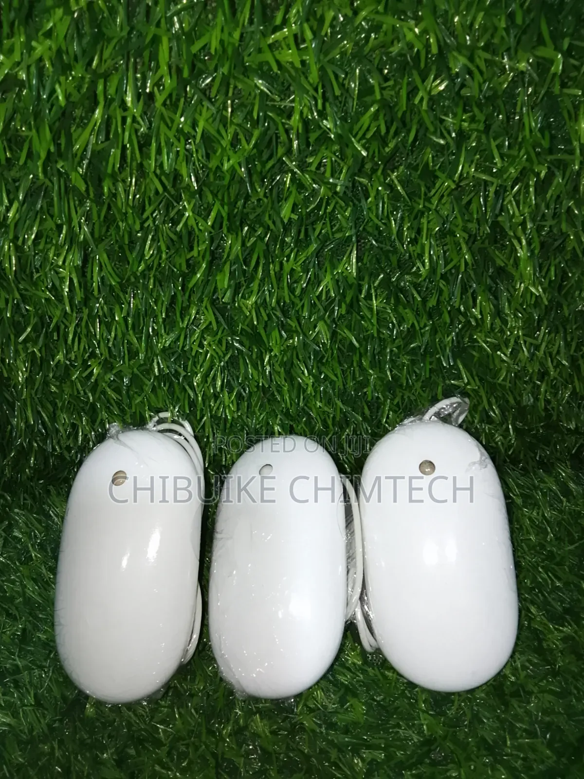 Apple Wire Mouse