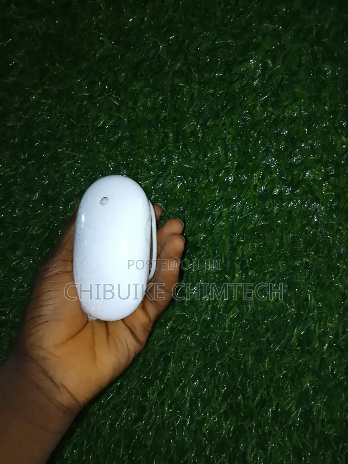Apple Wire Mouse