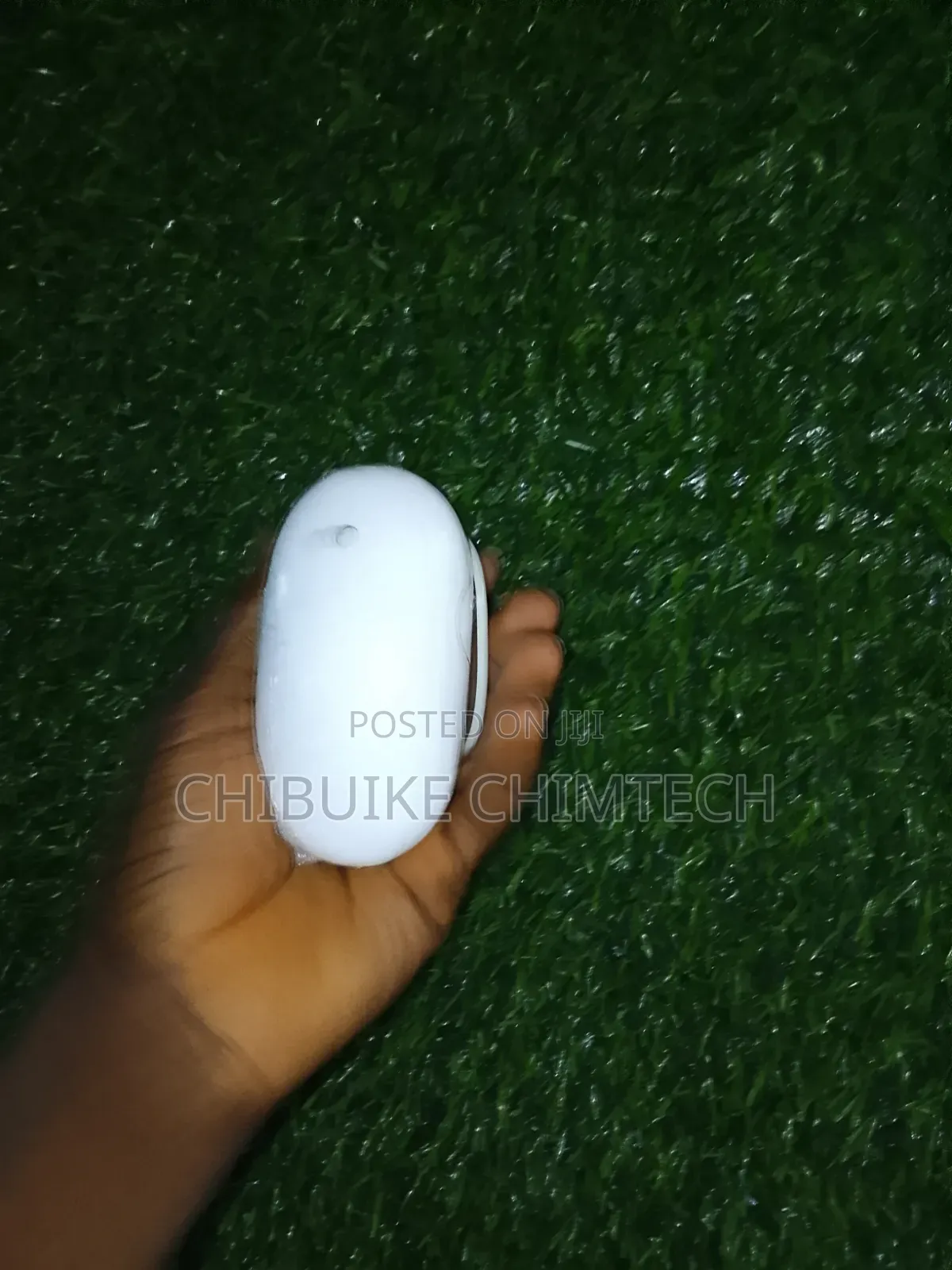 Apple Wire Mouse