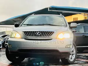 Lexus RX 350 4x4 2009 Gray