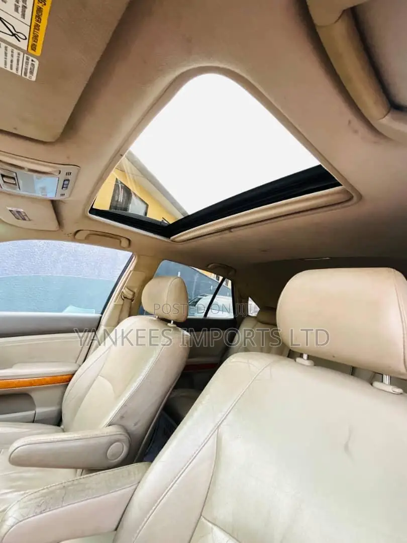 Lexus RX 350 4x4 2009 Gray