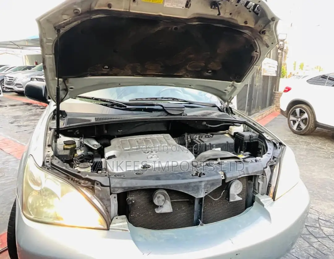 Lexus RX 350 4x4 2009 Gray