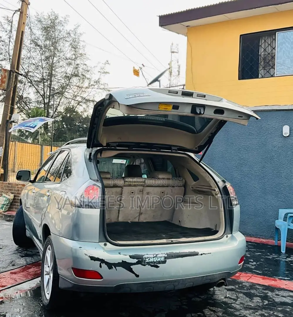 Lexus RX 350 4x4 2009 Gray