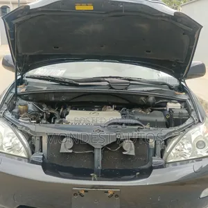 Lexus RX 330 2004 Blue