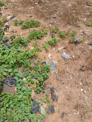 Corner Fenced Land Available for Sale