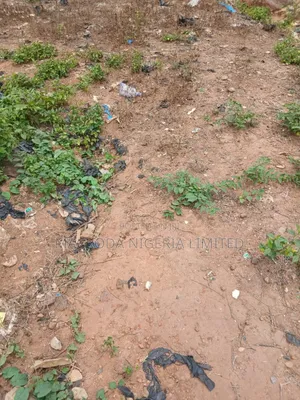 Commercial Land Directly On Opebi Road