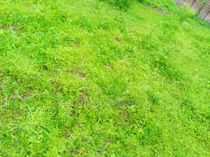 1000sqm Residential Land At Lere Adigun Gra, Bashorun