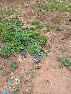 Land Available For Sale In A Very Good Area