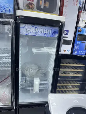 Brand New Skyrun 240 Display Refrigerator