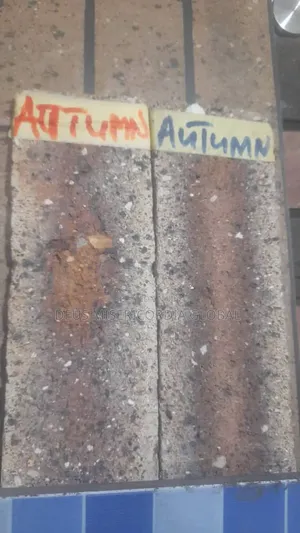 South Africa Stone Bricks(Autumn)