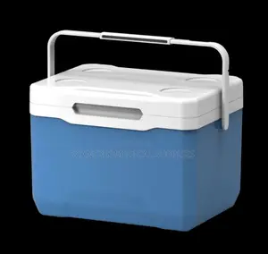 Solar-Compatible Vaccine Cooler Box for Off-Grid Healthcare in Nigeria