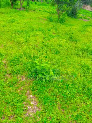 1,200sqm Residential Land at Kolapo Ishola Gra