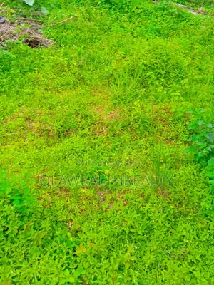 1,500sqm Residential Land at Bashorun Housing Estate, Bashorun