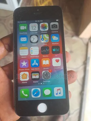Apple iPhone 5c 16 GB Black
