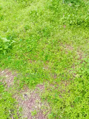 1000sqm Residential Land at Lere Adigun Gra, Bashorun